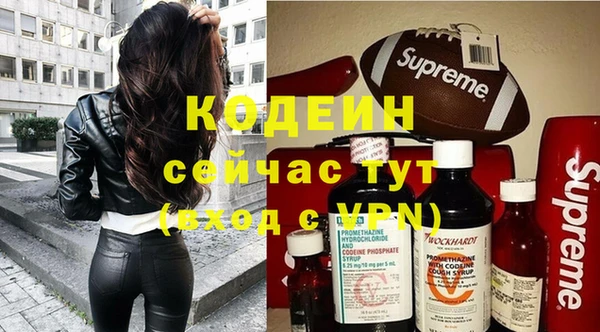 прущий лед Пересвет
