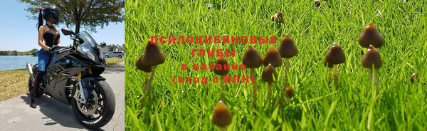 MESCALINE Чегем