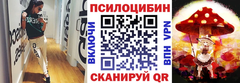 Галлюциногенные грибы Psilocybe Полысаево